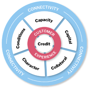 Traditional 5C's of Credit